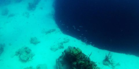 Lost Blue Hole at New Providence Island, Bahamas