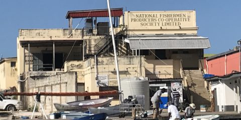 National Fishermans Producers Cooperative